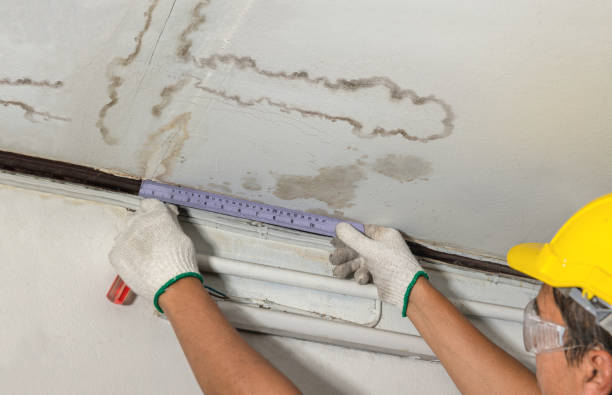 Reliable Basement Water Removal contractor in Shawano, WI by Water Damage Irwin